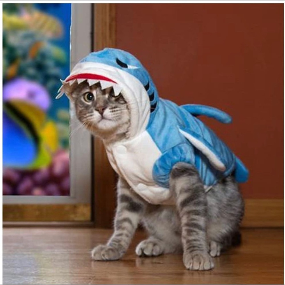 Pet Shark Costume